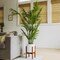 Artificial Palm Tree, Faux Plants for Home Decor Indoor, Fake Plants Tall for Office, Artificial Palm Plant & Large Plants for Living Room Decor, Faux Plants Indoor Artificial Tropical Plants - 5 Feet
